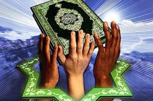 İslami Birlik Ve Dayanışma